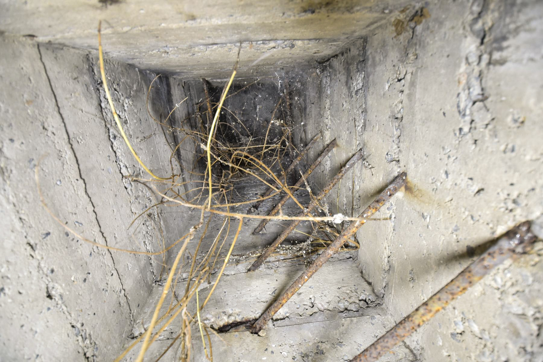 Ligne Maginot - B22 - MOULINS - (Blockhaus pour arme infanterie) -  - Ludovic KNAPP