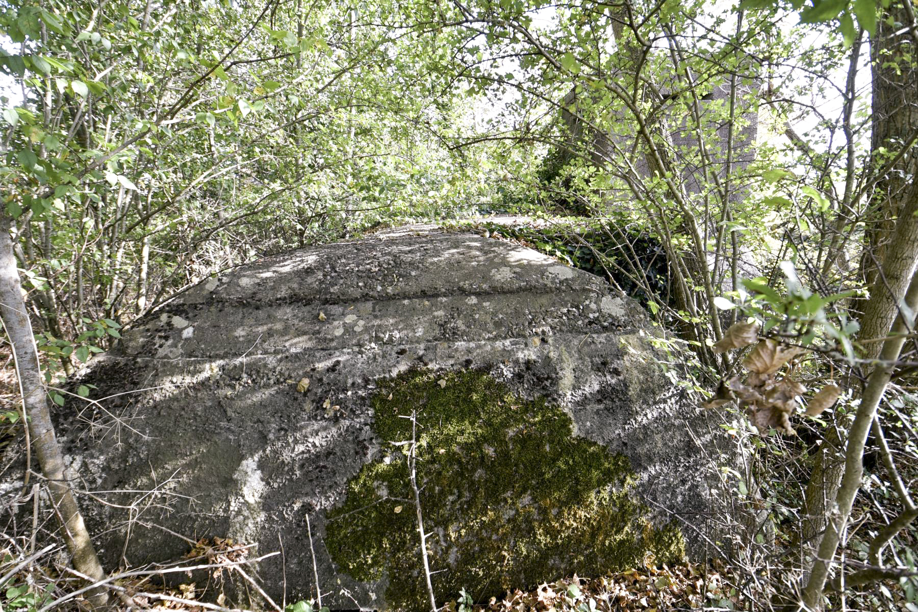 Ligne Maginot - B22 - MOULINS - (Blockhaus pour arme infanterie) -  - Ludovic KNAPP