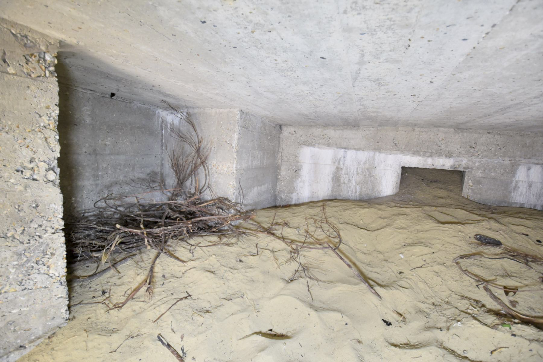 Ligne Maginot - B13 - LES DUNES 13 - (Blockhaus pour arme infanterie) -  - Ludovic KNAPP