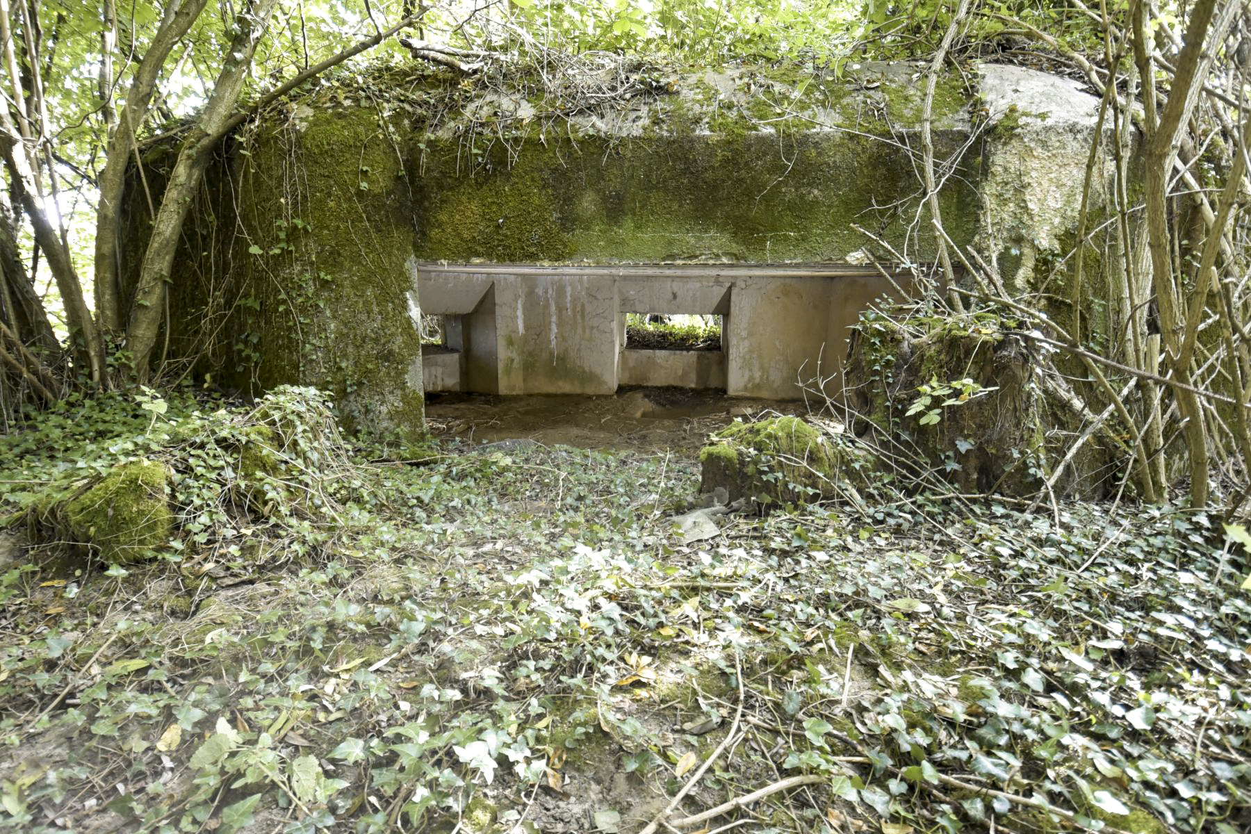 Ligne Maginot - B636 - BOIS D'ELESMES - (Blockhaus pour canon) -  - Ludovic KNAPP