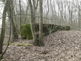 Ligne Maginot - CB296 - KUHDRECK 2 - (Blockhaus pour arme infanterie) - La façade de tir du blockhaus.