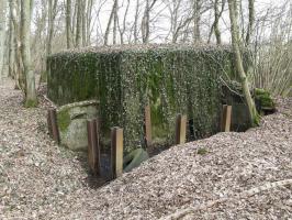 Ligne Maginot - CB296 - KUHDRECK 2 - (Blockhaus pour arme infanterie) - L'arrière du blockhaus.
Comme le blockhaus voisin il semble y avoir une structure de protection de l'entrée inachevée.
