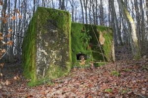 Ligne Maginot - CB85-C - BARRUNGSHOFF - (Blockhaus pour arme infanterie) - 