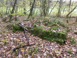 Ligne Maginot - CB87-A - BORNUNGSHOFF EST - (Blockhaus pour arme infanterie) - 