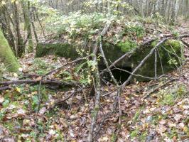 Ligne Maginot - CB87-A - BORNUNGSHOFF EST - (Blockhaus pour arme infanterie) - 