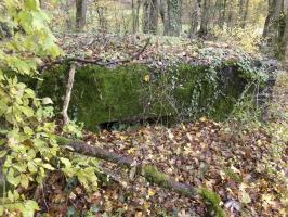 Ligne Maginot - CB89-B - BORNUNGSHOFF 3 - (Blockhaus pour arme infanterie) - 