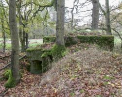 Ligne Maginot - CB89-A - BORNUNGSHOFF 2 - (Blockhaus pour arme infanterie) - 