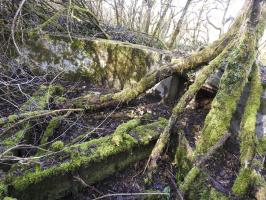 Ligne Maginot - CC4 - (Cuve pour canon) - La cuve pour canon.