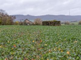 Ligne Maginot - IMMEREN 1 - (Blockhaus pour canon) - 