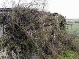 Ligne Maginot - IMMEREN 1 - (Blockhaus pour canon) - La façade 