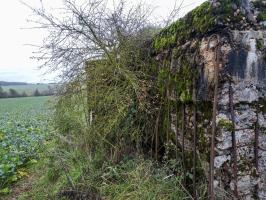 Ligne Maginot - IMMEREN 1 - (Blockhaus pour canon) - La façade 