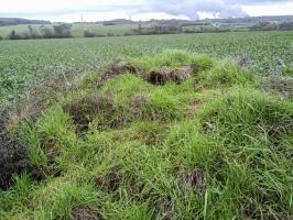 Ligne Maginot - IMMEREN 2 - (Blockhaus pour arme infanterie) - Les quelques vestiges visibles du blockhaus