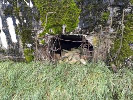 Ligne Maginot - IMMEREN 3 - (Blockhaus pour arme infanterie) - Le créneau
