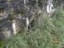 Ligne Maginot - IMMEREN 3 - (Blockhaus pour arme infanterie) - L'entrée des hommes