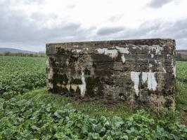 Ligne Maginot - IMMEREN 3 - (Blockhaus pour arme infanterie) - 