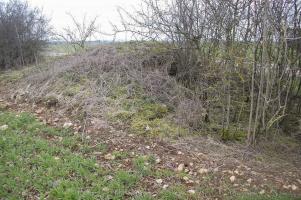 Ligne Maginot - DB18-D - FOND TOURNA - (Blockhaus pour arme infanterie) - Vue arrière
Depuis le terrain derrière l'ouvrage il est difficile de reconnaître une construction dans ce fouillis de branchages