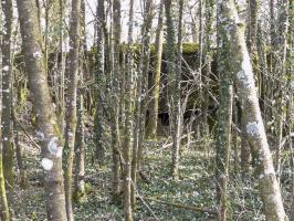 Ligne Maginot - DB18 - (Blockhaus pour canon) - 