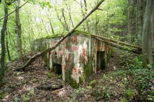 Ligne Maginot - DB214 - MORFONTAINE STADE - (Blockhaus pour canon) - L'extérieur