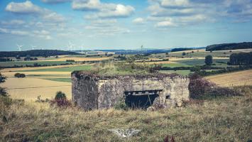 Ligne Maginot - DB252 - HAUT DE LA VIGNE NORD - (Blockhaus pour canon) - 