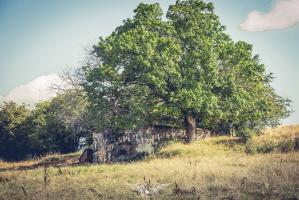 Ligne Maginot - DB253 - HAUT DE LA VIGNE SUD - (Blockhaus pour arme infanterie) - 