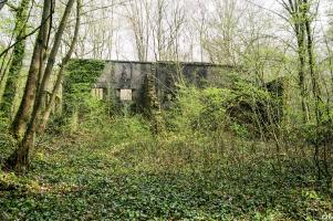 Ligne Maginot - MORFONTAINE - (Stand de tir) - 