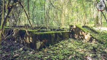 Ligne Maginot - MAUVAIS BOIS - (Casernement) - Les soubassements d'un bâtiment