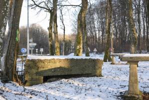 Ligne Maginot - DB13A - (Blockhaus pour canon) - Le bouclier en voie de disparition