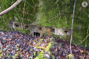 Ligne Maginot - BOCKHOLZ - (Blockhaus pour arme infanterie) -             
