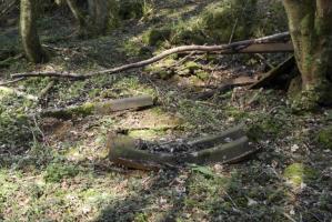 Ligne Maginot - BOIS DE CRUSNES - (Abri) - 
