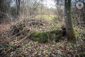 Ligne Maginot - BOIS DE CRUSNES 4 - (Blockhaus pour canon) - 