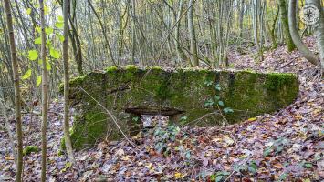 Ligne Maginot - BOIS DE CRUSNES 5 - (Blockhaus de type indeterminé) -  