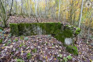 Ligne Maginot - BOIS DE CRUSNES 5 - (Blockhaus de type indeterminé) -   