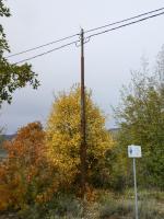 Ligne Maginot - AGAISEN (AN) - E03 - (Ouvrage d'artillerie) - Dernier pylône de la ligne électrique aérienne avant l'entrée