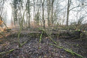Ligne Maginot - GRAMESGRUND - (Casernement) -          