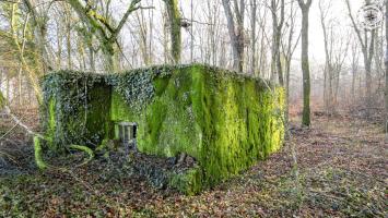 Ligne Maginot - LA FOULCETTE - (Blockhaus pour arme infanterie) -              
