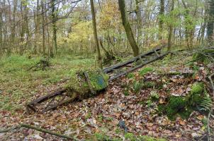 Ligne Maginot - OBERMODERN - DéPOT ARRIèRE - (Dépôt de Munitions) - Dépot 