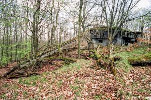 Ligne Maginot - BIESENBERG 4 - (Blockhaus pour arme infanterie) - 