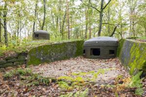 Ligne Maginot - BIESENBERG SOMMITALE - (Casemate d'infanterie - Simple) - Cloche pour jumelage de mitrailleuses Reibel MAC 31