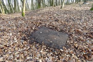 Ligne Maginot - 75T - (Chambre de coupure) - 