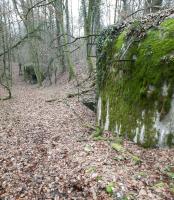 Ligne Maginot - BOIS D'ESCHERANGE - X3 (QUARTIER KANFEN - I/169°RIF) - (Abri) - L'endroit ne change pas trop malgré les années