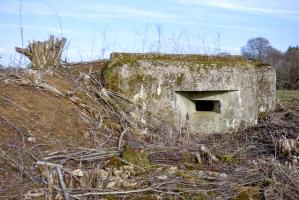 Ligne Maginot - CB14BIS - (Blockhaus pour arme infanterie) - Débroussaillé pour la marche du patrimoine.