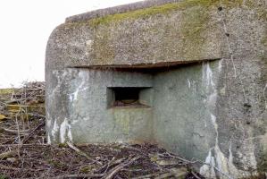 Ligne Maginot - CB14BIS - (Blockhaus pour arme infanterie) - Débroussaillé pour la marche du patrimoine.