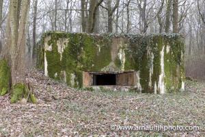 Ligne Maginot - CB302 - KANFENER BUSCH 6 - (Blockhaus pour canon) - Vue générale