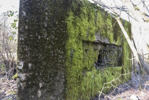 Ligne Maginot - CB304 - BUSCHWIESE 2 - (Blockhaus pour arme infanterie) -    Créneau secondaire FM vers l'est