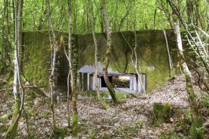Ligne Maginot - CB306 - KANFENER BUSCH 8 - (Blockhaus pour canon) - Vue générale