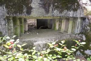 Ligne Maginot - CB309 - ZEITERHOLZ EST - (Blockhaus pour canon) - 