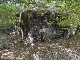 Ligne Maginot - CB309 - ZEITERHOLZ EST - (Blockhaus pour canon) - Entrée latérale