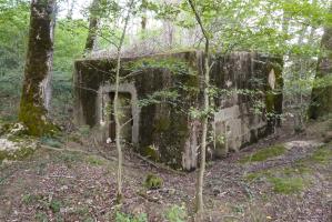 Ligne Maginot - CB309 - ZEITERHOLZ EST - (Blockhaus pour canon) - 