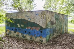 Ligne Maginot - CB311 - ZEITERHOLZ 1 - (Blockhaus pour arme infanterie) - Vue arrière
2012