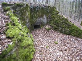 Ligne Maginot - CB334 - BOIS DE LA TIEFKEIL - (Blockhaus pour arme infanterie) - 